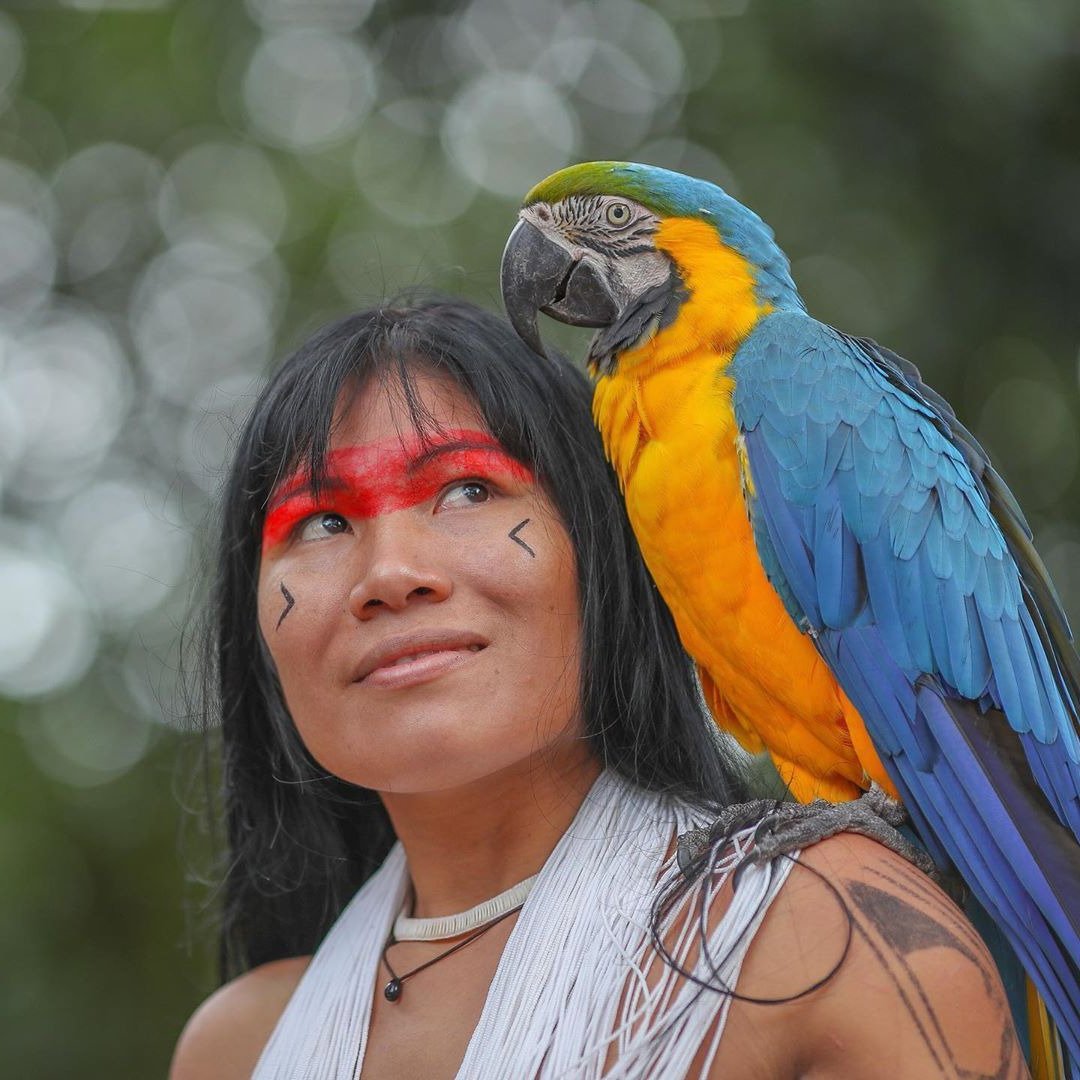 cb3d381804e39e610f77a964ed608ac572759aa2