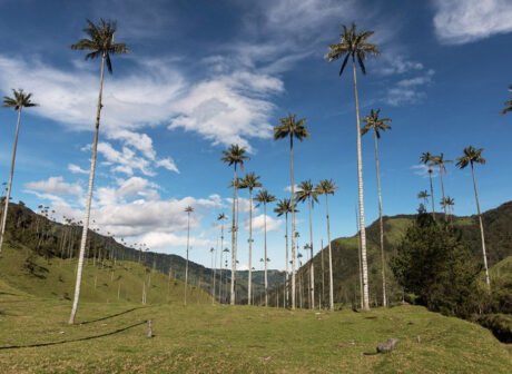 4_ca052388fd594e7a9465d83c7109964ba4741992