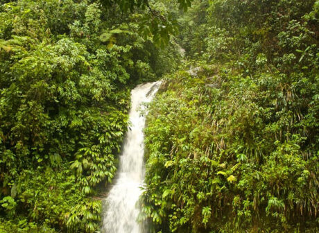 5_ce938d9bab9df02e18fc9346abd6e0746c8604d5