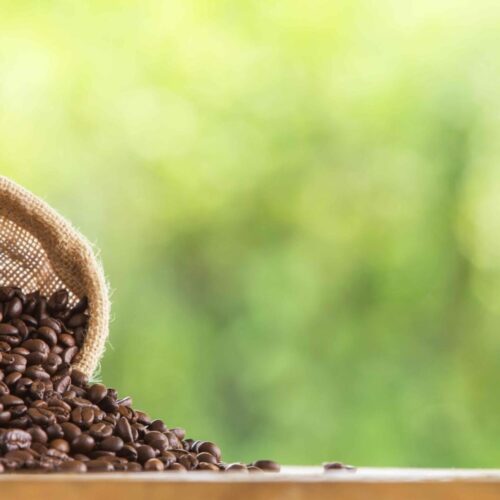 Coffee bean in sack on wooden  tabletop against grunge green blur background