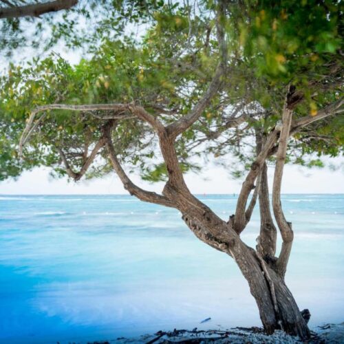 SanAndreas-1-1024x683