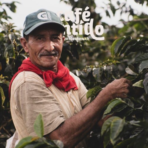 cafe_Sentido_sq5-1024x1024